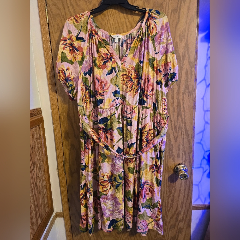 Terra & Sky Pink Floral Dress